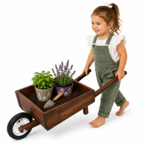 Just For Kids Varnished Kiddies Wheelbarrow
