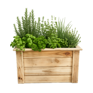 Just For Kids 50cm Garden Planter Box - Natural