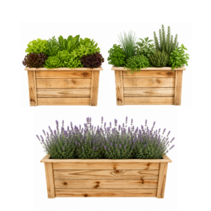 Wooden Planter Box Combo with drainage